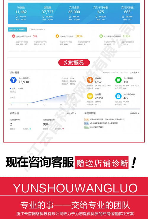 淘宝代运营与天猫推广 如何通过专业引流与技术推广服务驱动店铺增长